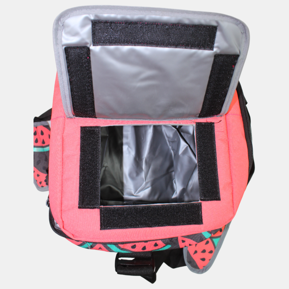 Red & Black Watermelons Cooler