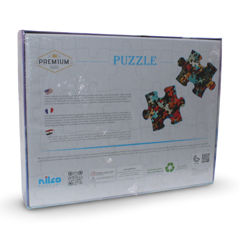 Nilco Frozen Puzzel – 50 Pcs