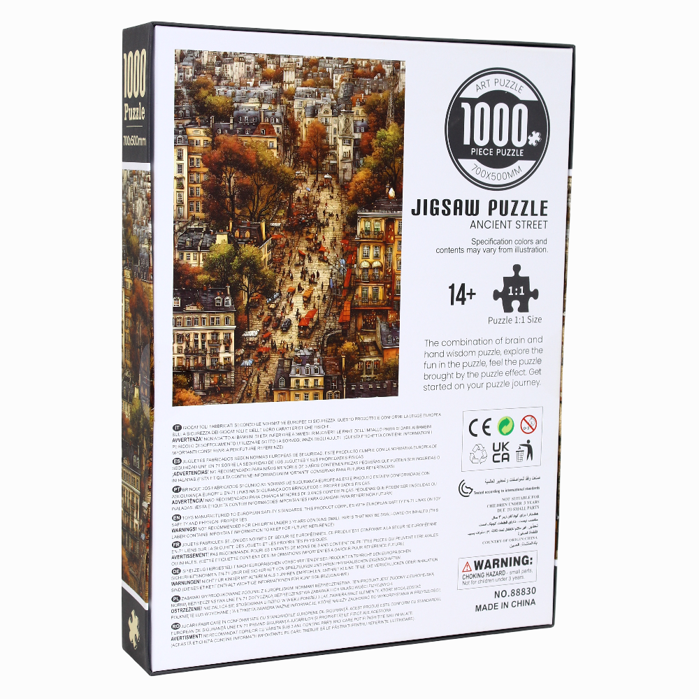 Ancient Street Puzzle - 1000 Pieces