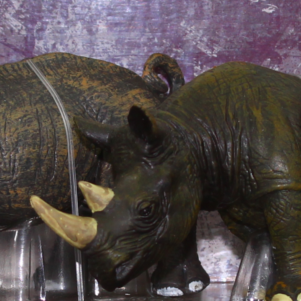 Animal Kingdom Set - Rhinos
