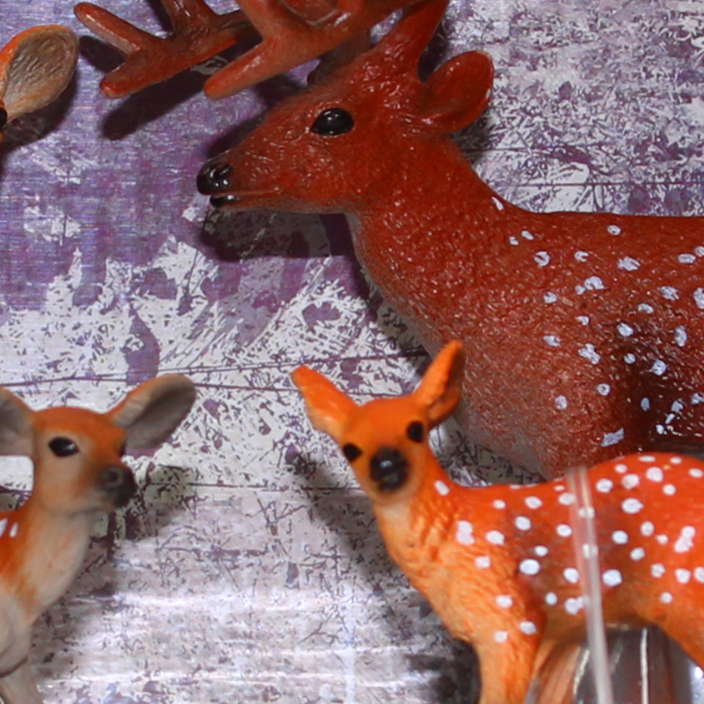 Animal Kingdom Deer Family
