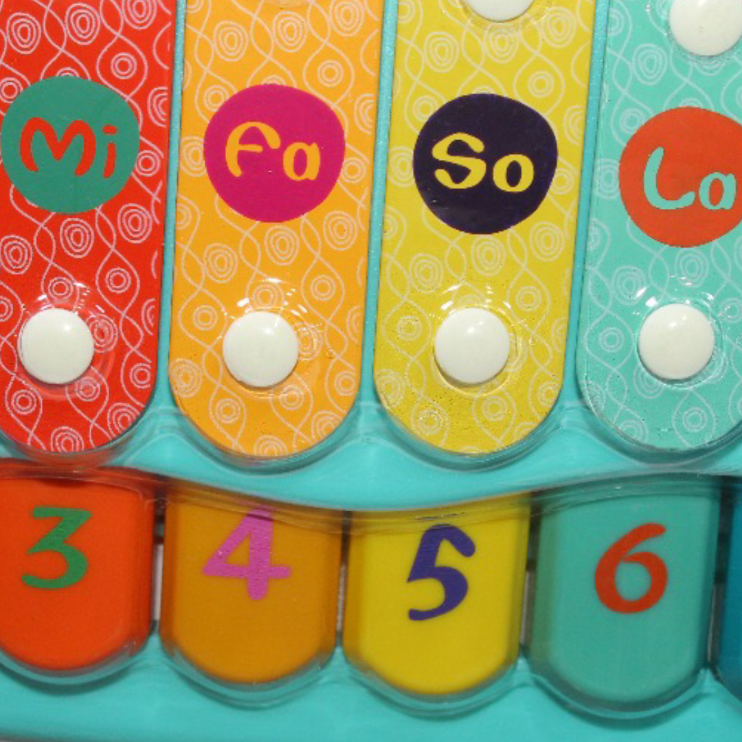 Junca Little Xylophonist Toy