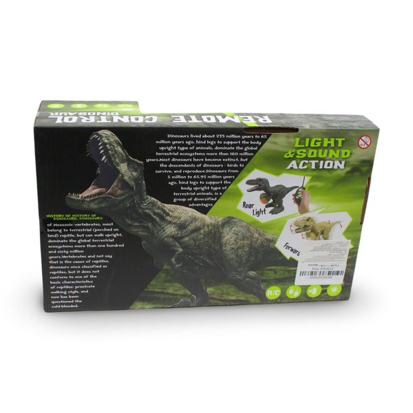 Remote Control Dinosaur Toy