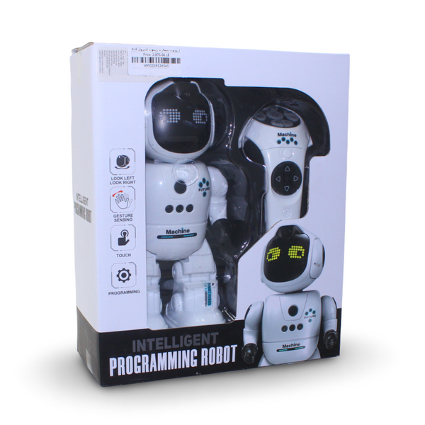 Intelligent Programming RC Robot