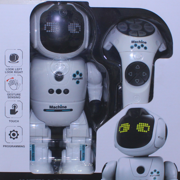 Intelligent Programming RC Robot