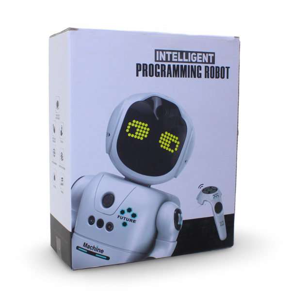 Intelligent Programming RC Robot