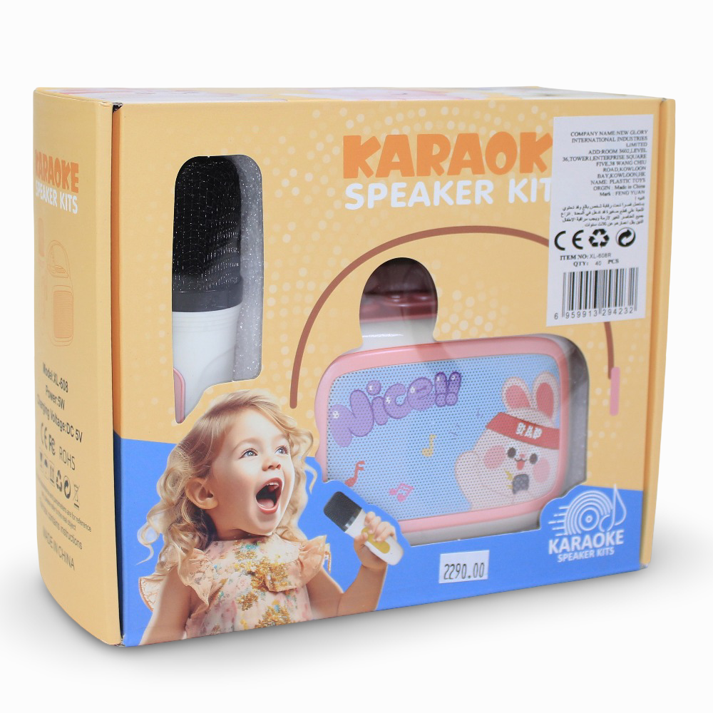 Karaoke Speaker Kit