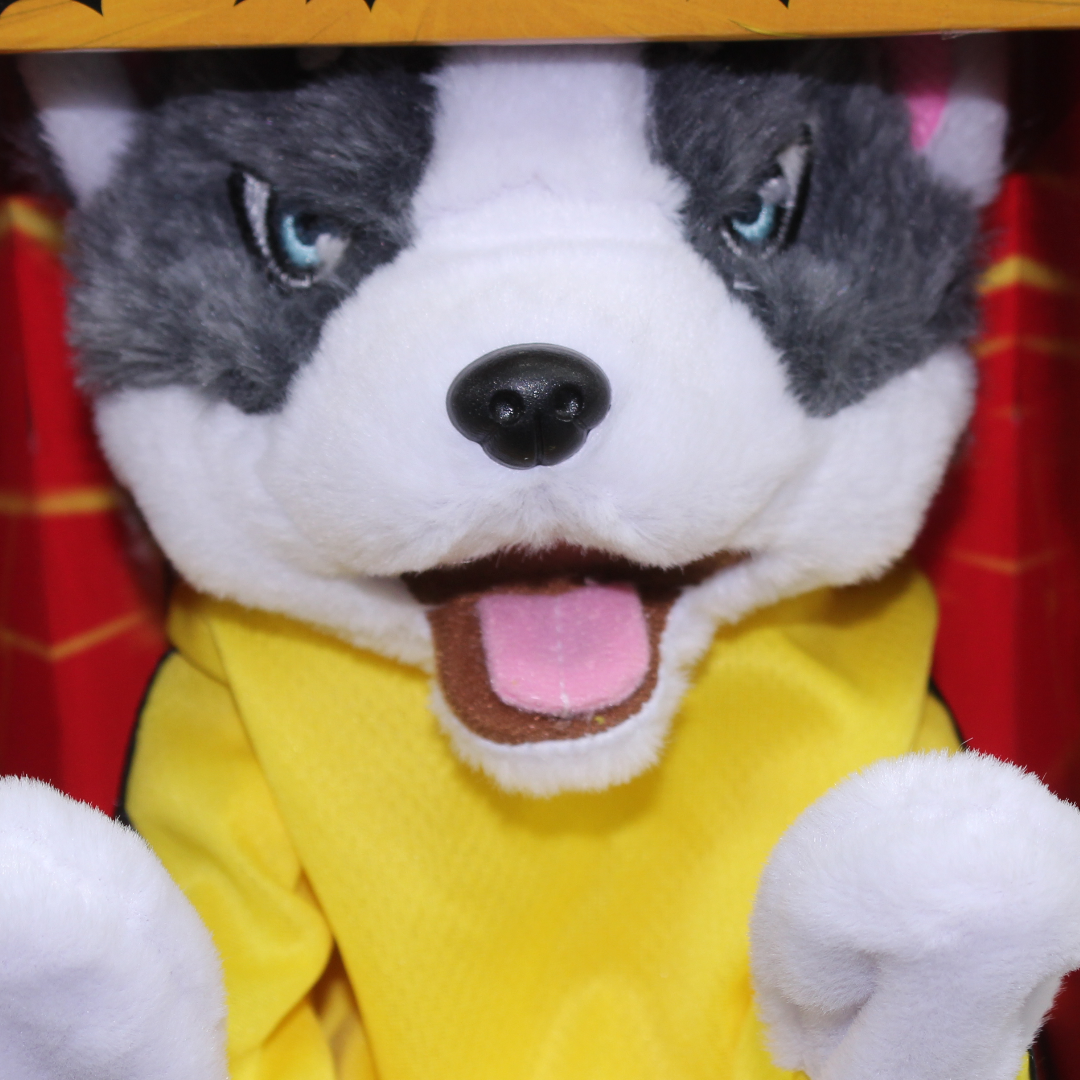 Boxing Fight Dog Interactive Toy