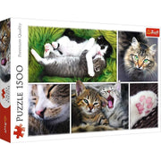 Jigsaw Puzzle Just Cat Things Collage, 1500 Piece