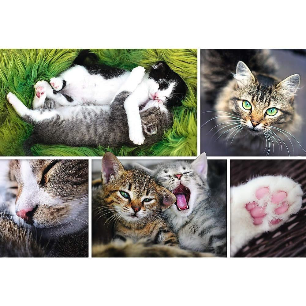 Jigsaw Puzzle Just Cat Things Collage, 1500 Piece
