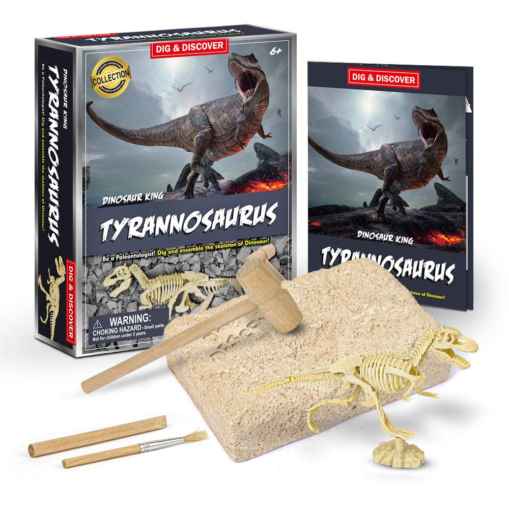 Dig & Discover Tyrannosaurus Eduman Tyrannosaurus Dig Kit