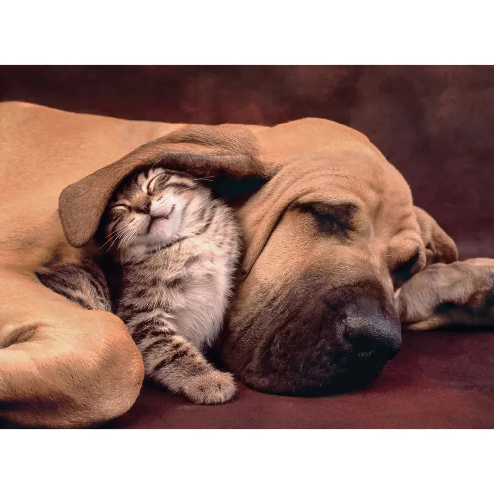 Clementoni Dog & Cat Puzzle – 500Pcs
