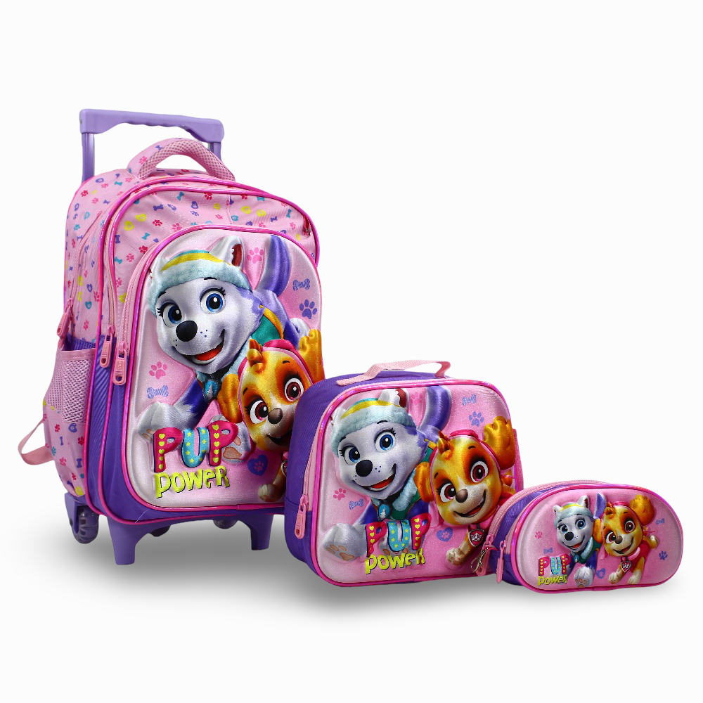 Paw Patrol School Set - 16 Inches