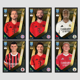 Panini FIFA 365 2025 Sticker Album