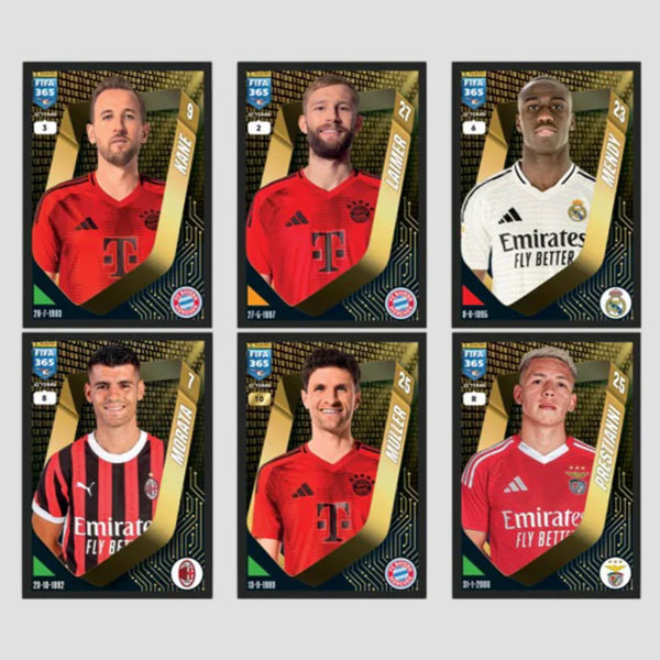 ألبوم ملصقات Panini FIFA 365 2025
