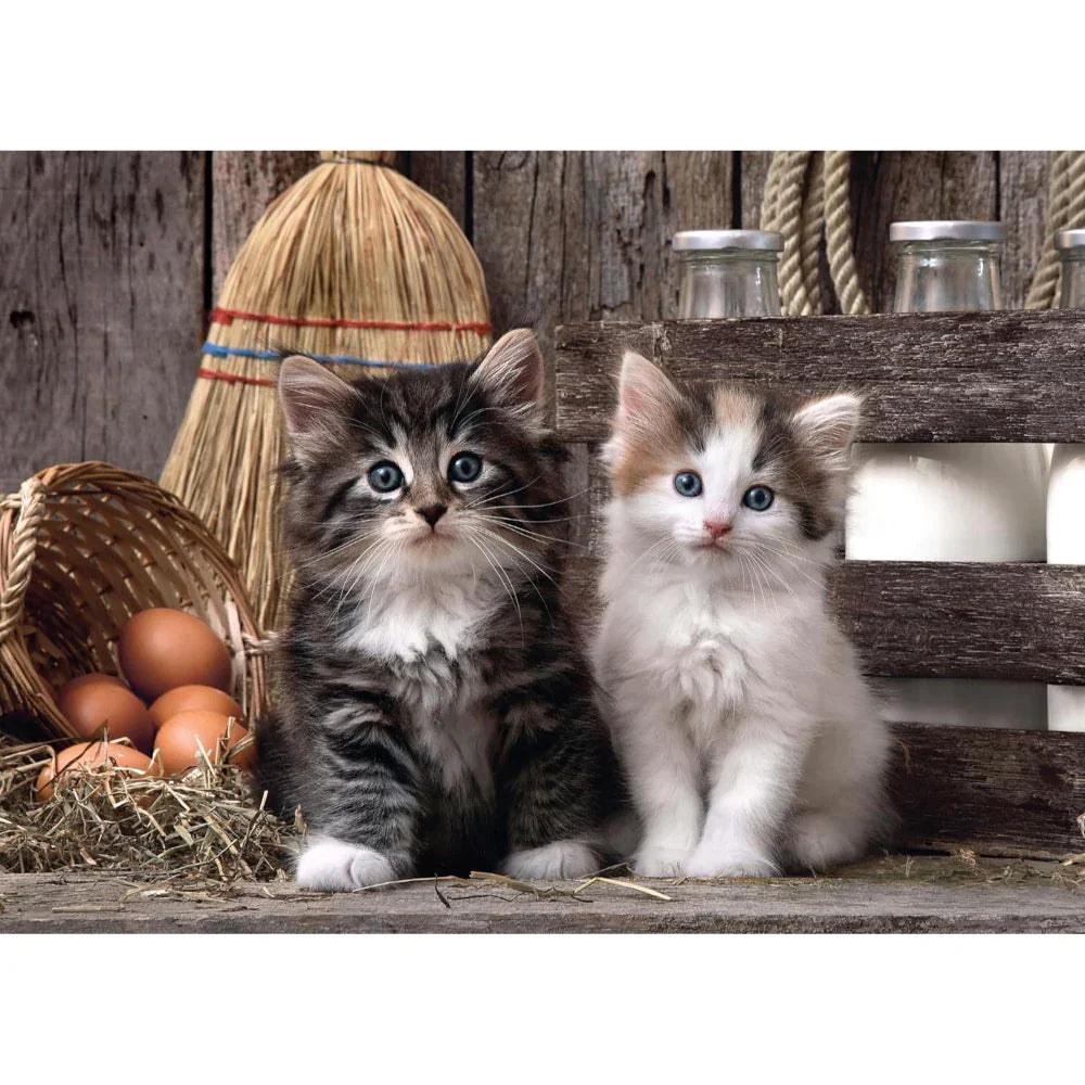 Clementoni Lovely Kittens High Quality Collection Puzzle – 1000Pcs