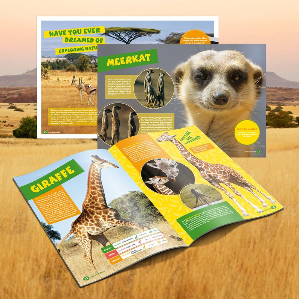 CubicFun African Wildlife 3D Puzzle