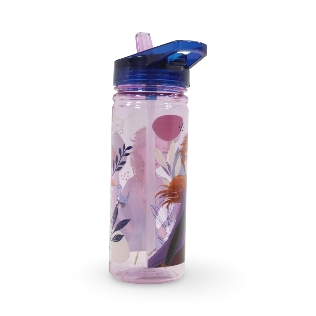 Stor Frozen Large Ecozen Bottle – 580ml