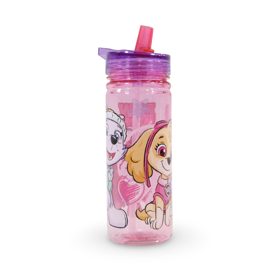 Stor Paw Patrol Girl Ecozen Water Bottle – 580ml - School
