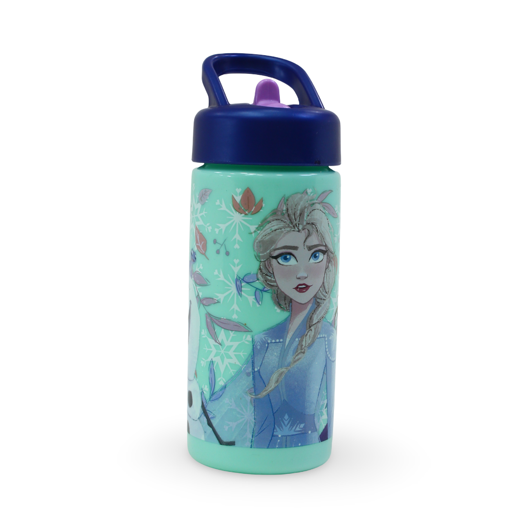 Stor Frozen Playground Sipper Bottle – 420ml