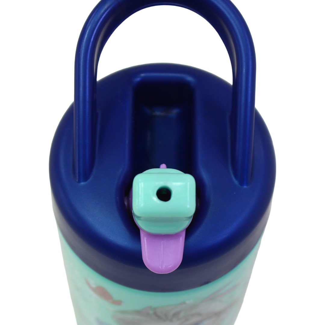 Stor Frozen Playground Sipper Bottle – 420ml