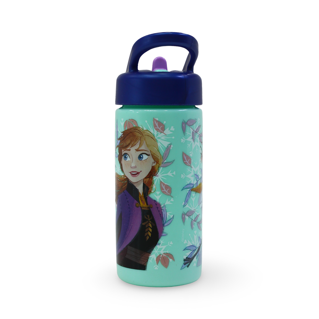 Stor Frozen Playground Sipper Bottle – 420ml