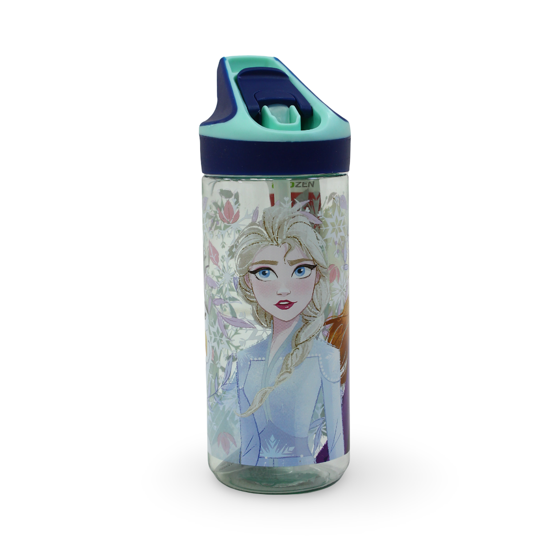 Stor Frozen Ecozen Premium Water Bottle – 620ml