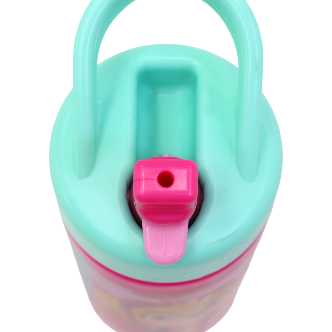Stor Paw Patrol Skye Playground Sipper Bottle – 420ml