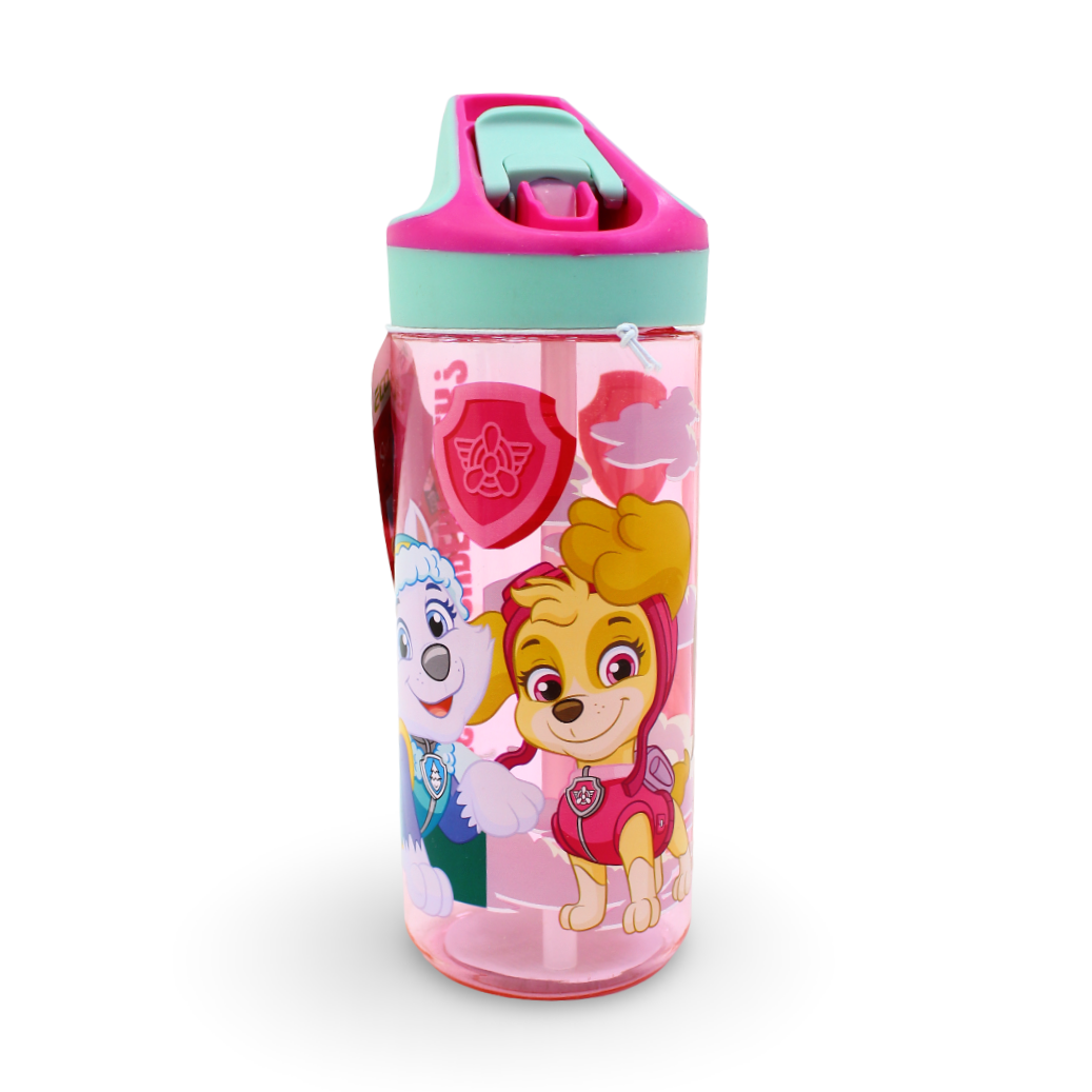 Stor Paw Patrol Skye Water Bottle – 620ml