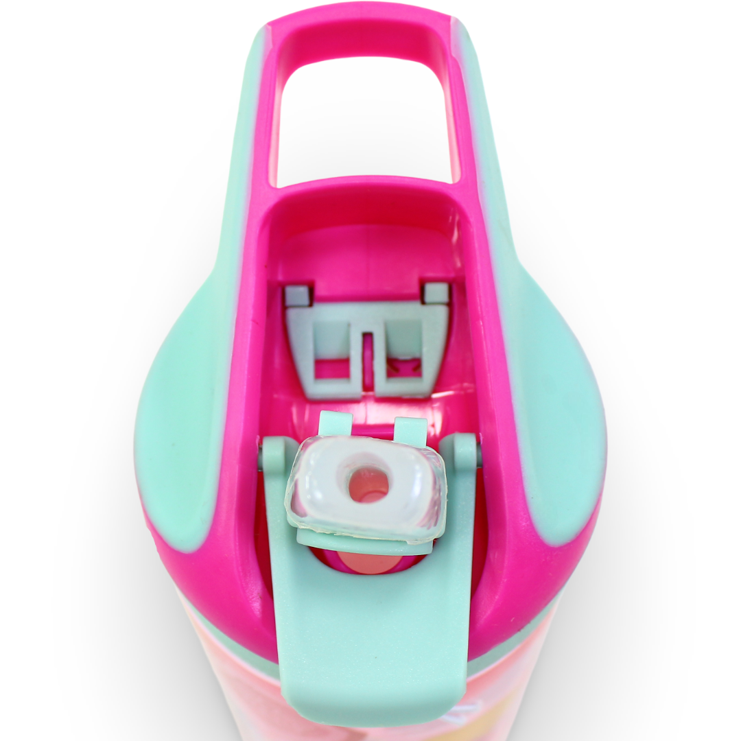 Stor Paw Patrol Skye Water Bottle – 620ml