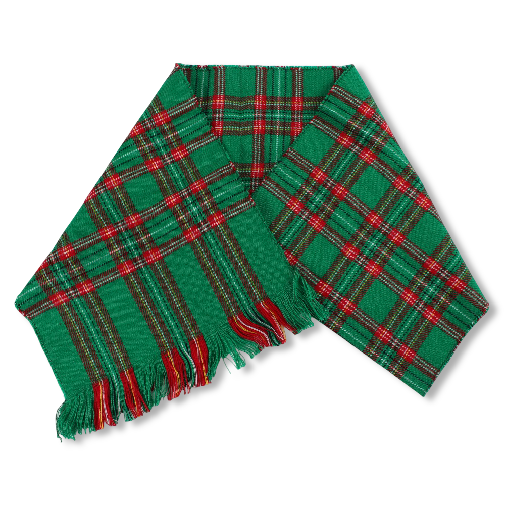 Unisex Checkered Winter Scarf – Green