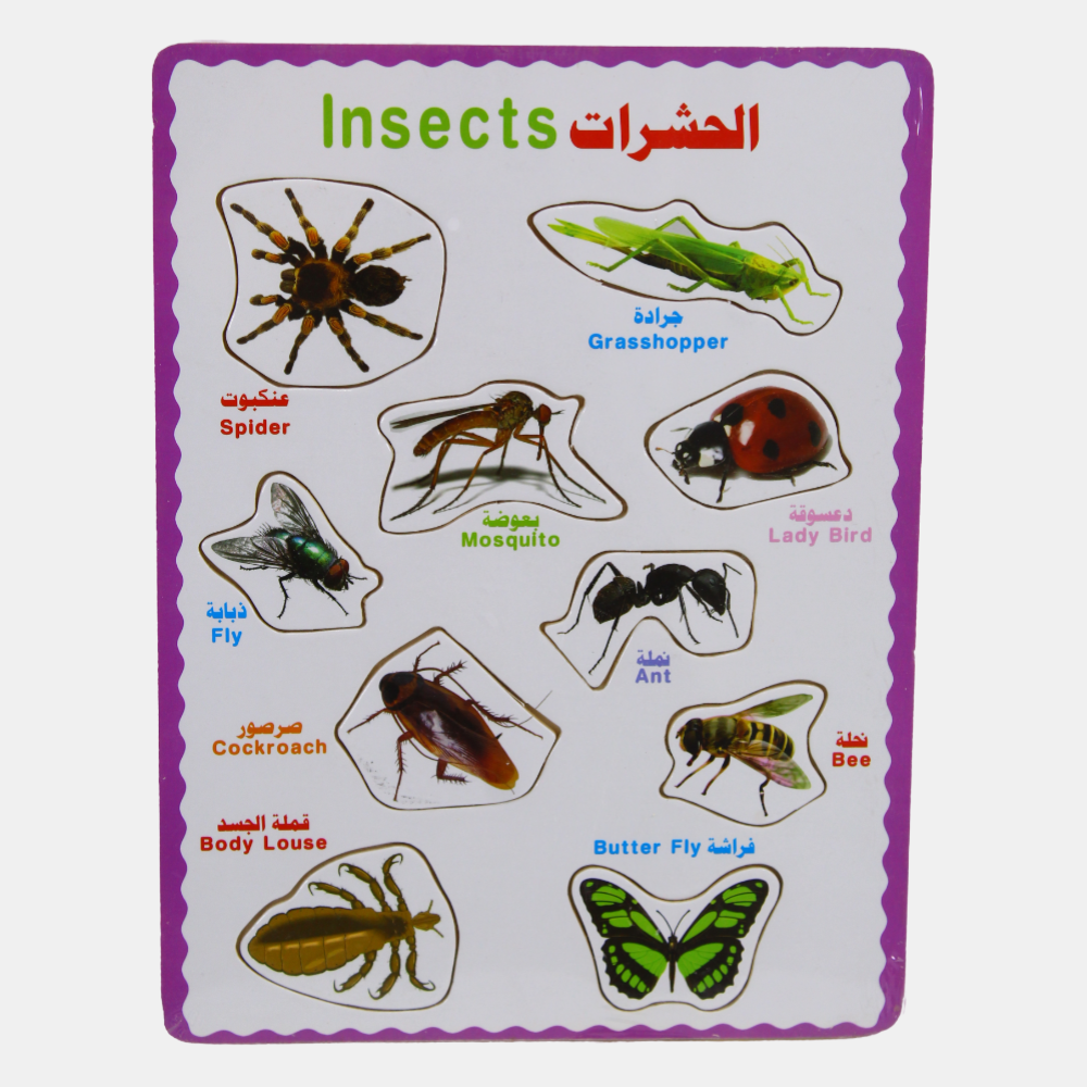 Insects Matching Board - Toys - Bright Future