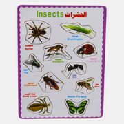 Insects Matching Board