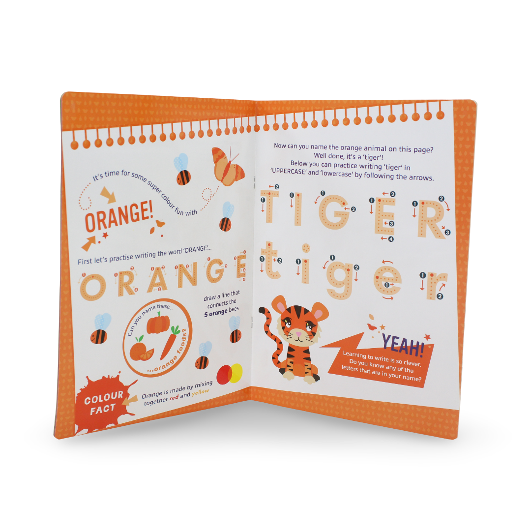 Wipe Clean Safari Little Learners - Assortments