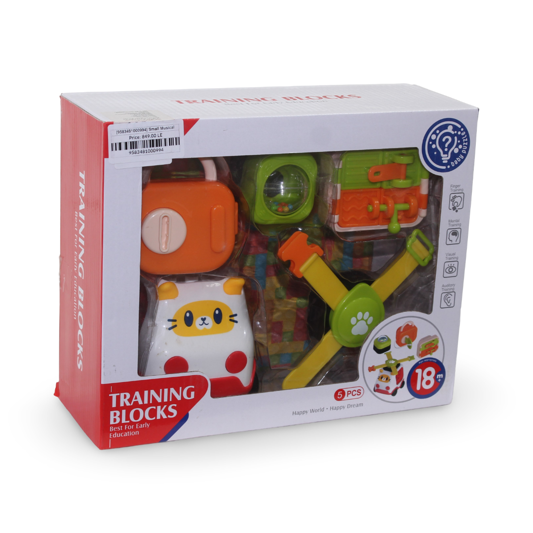 Huanger Baby Puzzle Training Blocks Set – 5 Pcs