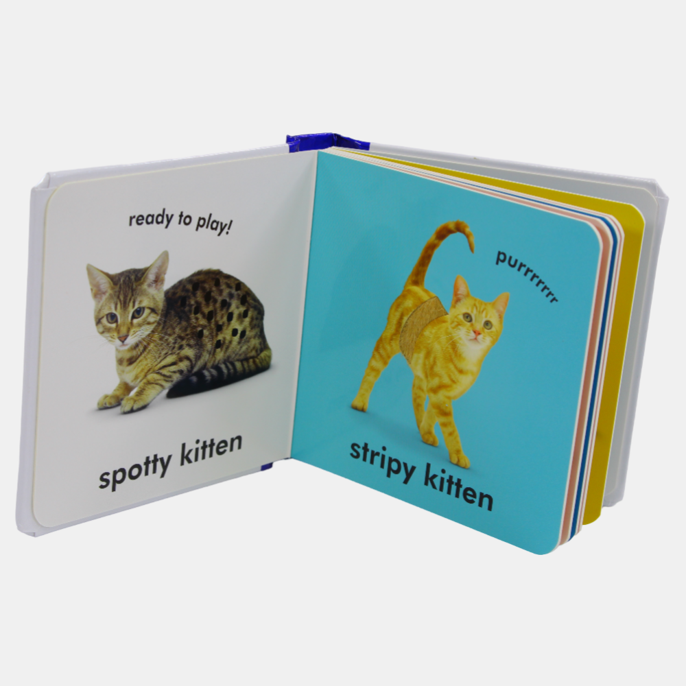 Baby Touch and Feel Kittens Book