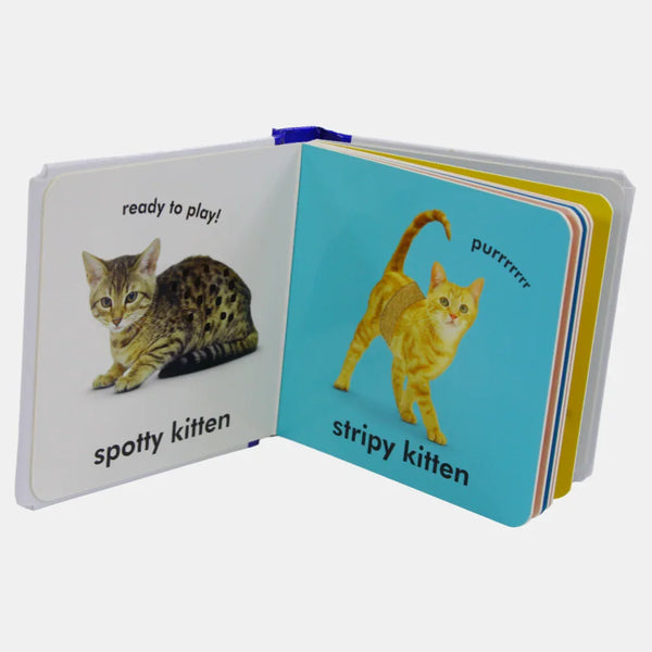 Baby Touch and Feel Kittens Book