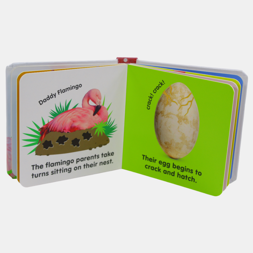 Baby Touch and Feel Flamingo Book