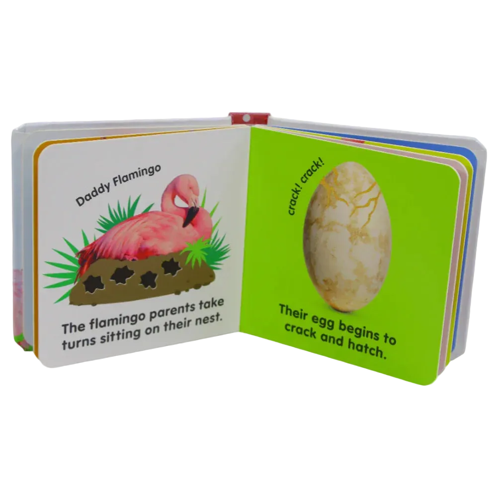 Baby Touch and Feel Flamingo Book - Assortments - DK