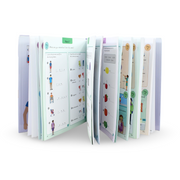 DK French for Everyone Junior: 5 Words a Day Book - Assortments