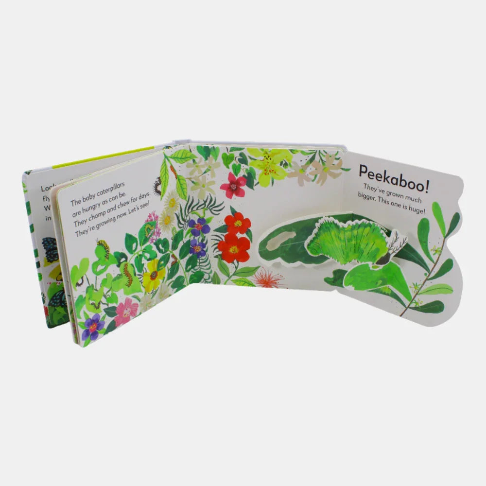 Pop-Up Peekaboo! Butterfly