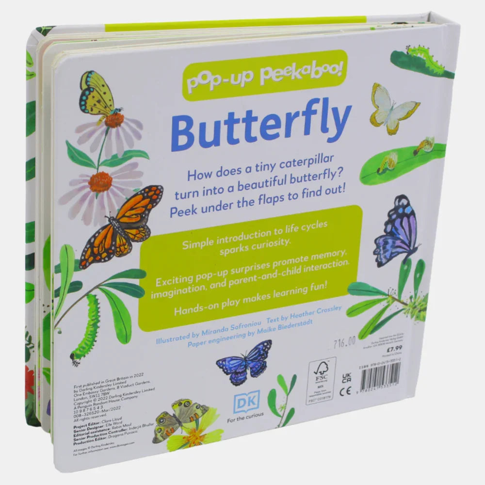 Pop-Up Peekaboo! Butterfly