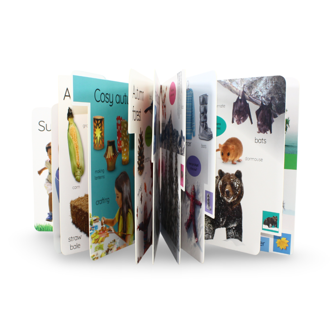 DK My First Seasons: Let's Learn About the Year! Board Book