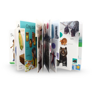 DK My First Seasons: Let's Learn About the Year! Board Book - Assortments