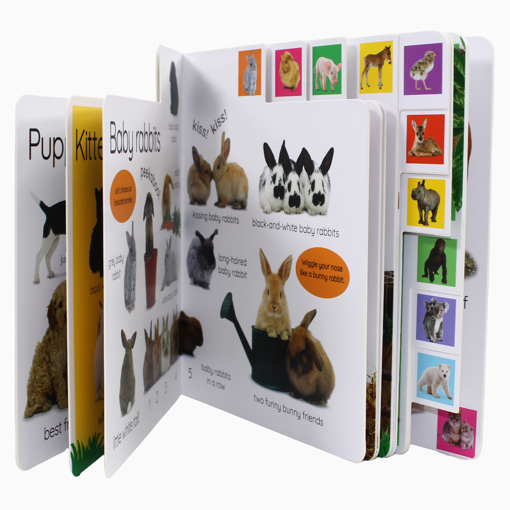My First Baby Animals Let's Find our Favourites! - Assortments - DK