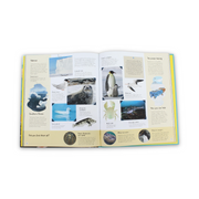 DK The World's Wildest Waters Board Book - Assortments