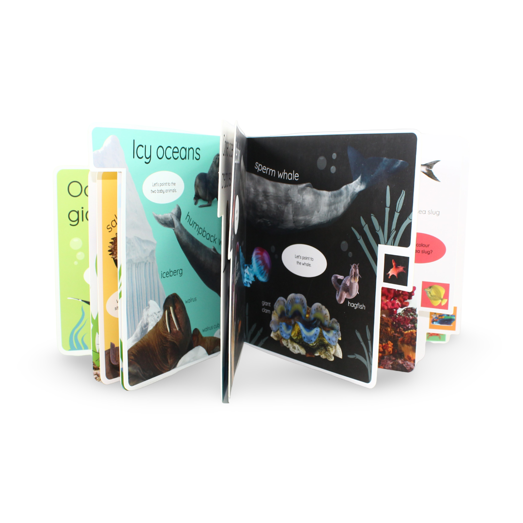 DK My First Ocean: Let's Dive in and Explore! Board Book