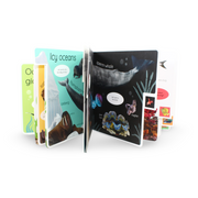DK My First Ocean: Let's Dive in and Explore! Board Book - Assortments