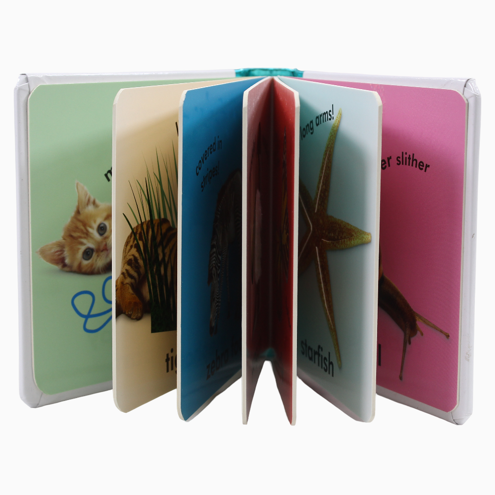 Baby Touch and Feel Animals Book