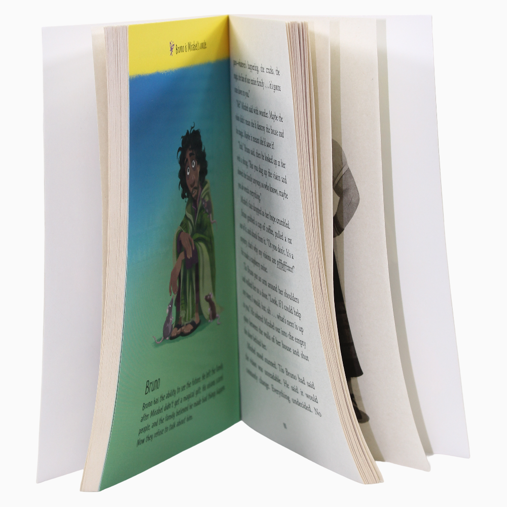Disney Encanto: The Junior Novel